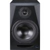 اسپیکر مانیتورینگ آیکن Icon PX-T8A G2 - تصویر 3