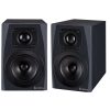 اسپیکر مانیتورینگ آیکن Icon PX-T8A G2 - تصویر 4