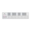 میدی کنترلر کرگ KORG NanoKEY 2 White