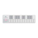 میدی کنترلر کرگ KORG NanoKEY 2 White
