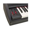 میدی کنترلر ام آدیو M-Audio Hammer 88 Pro - تصویر 7