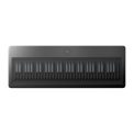 میدی کنترلر رولی ROLI Seaboard Grand Stage