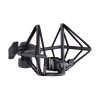 میکروفون sE Electronics VR1 - تصویر 3