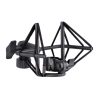 میکروفون sE Electronics VR2 - تصویر 3
