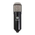 میکروفون Townsend Labs Townsend Labs Sphere L22