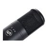 میکروفون وارم آدیو Warm Audio WA-8000 - تصویر 8