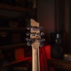 گیتار الکتریک شِکتِر Schecter Diamond Series C-6FR Deluxe Black - تصویر 5